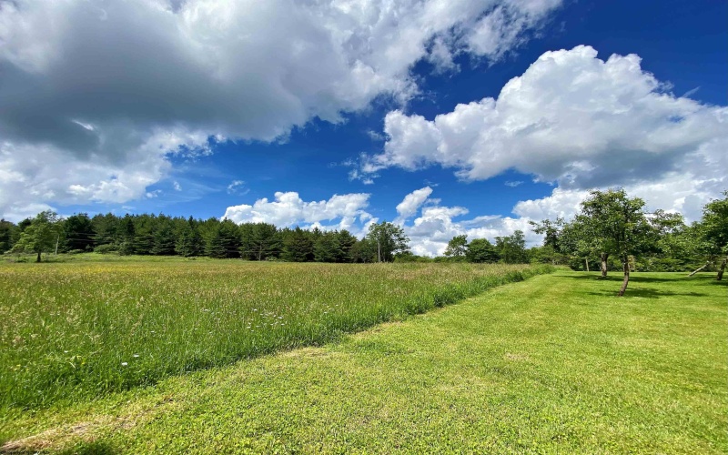 8816 Turkey Bone Road, Pickens, West Virginia 26230, ,Lots/land,For Sale,Turkey Bone,10164003