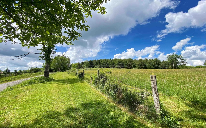 8816 Turkey Bone Road, Pickens, West Virginia 26230, ,Lots/land,For Sale,Turkey Bone,10164003