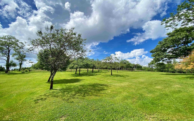 8816 Turkey Bone Road, Pickens, West Virginia 26230, ,Lots/land,For Sale,Turkey Bone,10164003