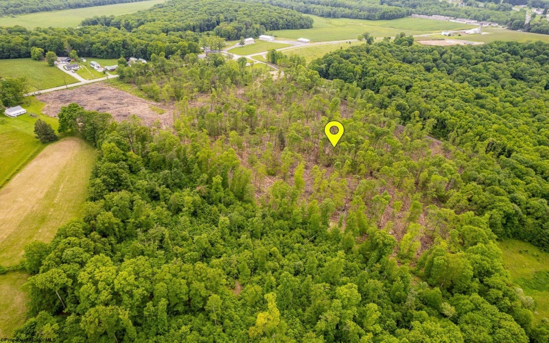 TBD Salem Road, Bruceton Mills, West Virginia 26525, ,Lots/land,For Sale,Salem,10164008