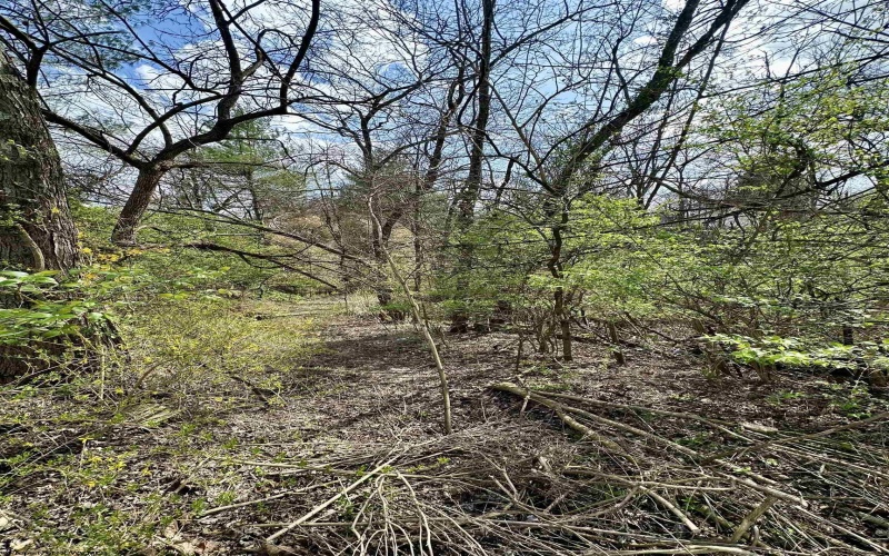 85 Monongahela Avenue, Westover, West Virginia 26501, ,Lots/land,For Sale,Monongahela,10163998