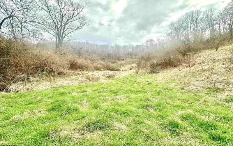 496 Dillon Hollow Road, Jane Lew, West Virginia 26378, ,Lots/land,For Sale,Dillon Hollow,10163995 496 Dillon Hollow Road, Jane Lew, West Virginia 26378, ,Lots/land,For Sale,Dillon Hollow,10163995