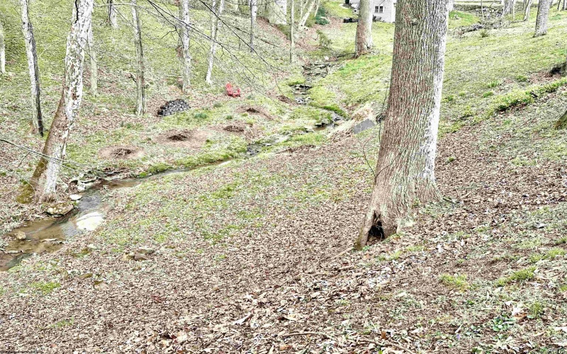 36 Private Lane, West Milford, West Virginia 26451, 3 Bedrooms Bedrooms, 7 Rooms Rooms,2 BathroomsBathrooms,Single Family Detached,For Sale,Private,10163996