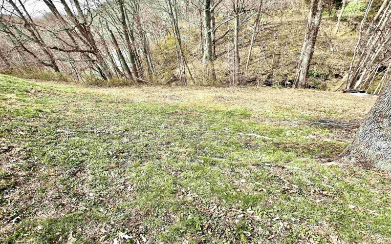 36 Private Lane, West Milford, West Virginia 26451, 3 Bedrooms Bedrooms, 7 Rooms Rooms,2 BathroomsBathrooms,Single Family Detached,For Sale,Private,10163996