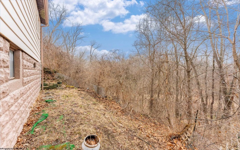 1341 CAIN Street, Morgantown, West Virginia 26505, 3 Bedrooms Bedrooms, 7 Rooms Rooms,1 BathroomBathrooms,Single Family Detached,For Sale,CAIN,10164023