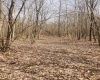 TBD Sugar Valley Road, Bruceton Mills, West Virginia 26525, ,Lots/land,For Sale,Sugar Valley,10164027