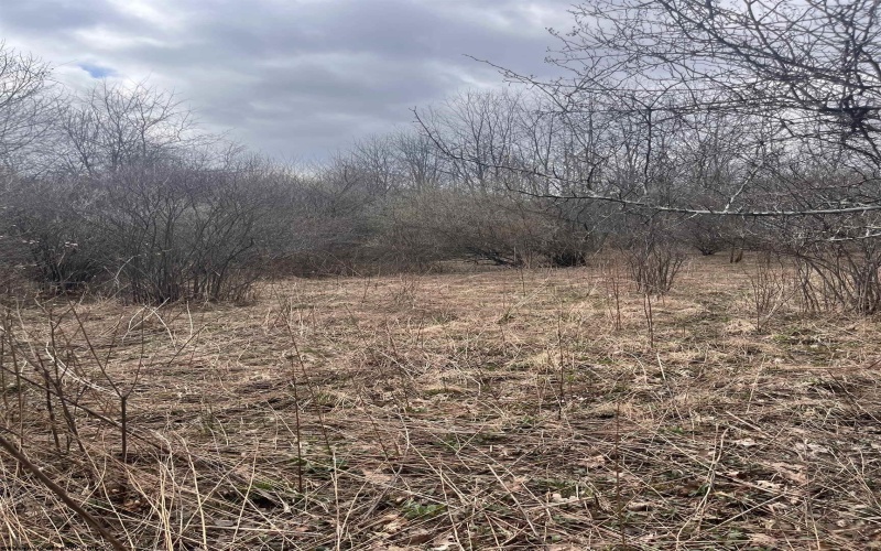 TBD Sugar Valley Road, Bruceton Mills, West Virginia 26525, ,Lots/land,For Sale,Sugar Valley,10164027