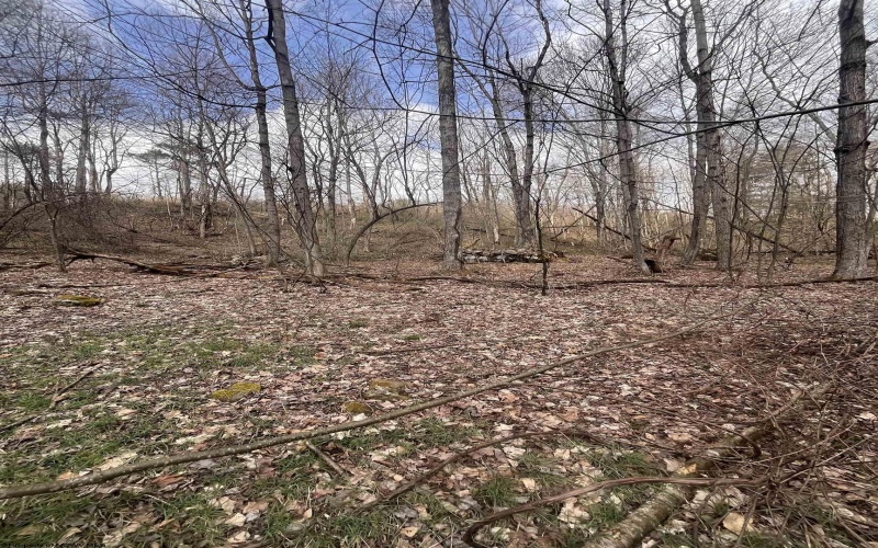 TBD Sugar Valley Road, Bruceton Mills, West Virginia 26525, ,Lots/land,For Sale,Sugar Valley,10164027