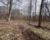 TBD Sugar Valley Road, Bruceton Mills, West Virginia 26525, ,Lots/land,For Sale,Sugar Valley,10164027