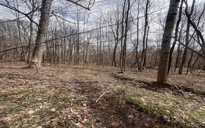 TBD Sugar Valley Road, Bruceton Mills, West Virginia 26525, ,Lots/land,For Sale,Sugar Valley,10164027