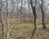TBD Sugar Valley Road, Bruceton Mills, West Virginia 26525, ,Lots/land,For Sale,Sugar Valley,10164027