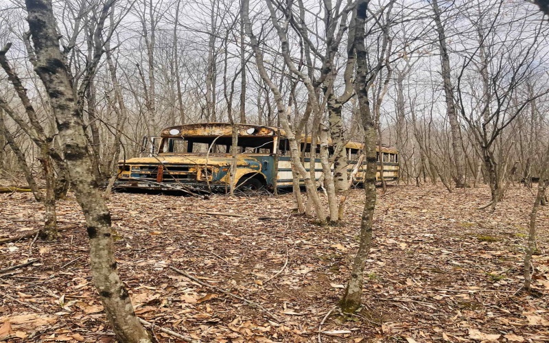 TBD Sugar Valley Road, Bruceton Mills, West Virginia 26525, ,Lots/land,For Sale,Sugar Valley,10164027