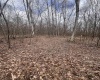 TBD Sugar Valley Road, Bruceton Mills, West Virginia 26525, ,Lots/land,For Sale,Sugar Valley,10164027