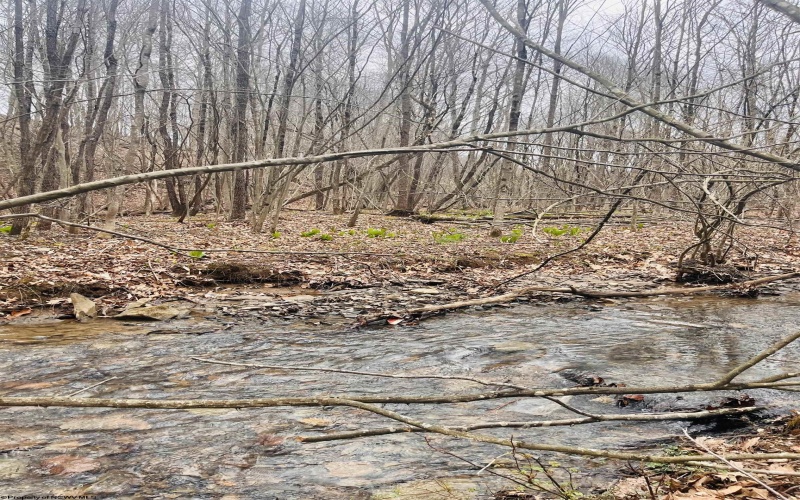 TBD Sugar Valley Road, Bruceton Mills, West Virginia 26525, ,Lots/land,For Sale,Sugar Valley,10164027