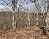 TBD Sugar Valley Road, Bruceton Mills, West Virginia 26525, ,Lots/land,For Sale,Sugar Valley,10164027