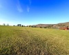 35 Mallow Lake Drive, Davis, West Virginia 26260, ,Lots/land,For Sale,Mallow Lake,10164031