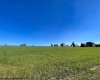 35 Mallow Lake Drive, Davis, West Virginia 26260, ,Lots/land,For Sale,Mallow Lake,10164031