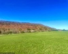 35 Mallow Lake Drive, Davis, West Virginia 26260, ,Lots/land,For Sale,Mallow Lake,10164031