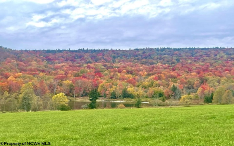 35 Mallow Lake Drive, Davis, West Virginia 26260, ,Lots/land,For Sale,Mallow Lake,10164031