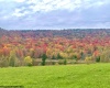 34 Mallow Lake Drive, Davis, West Virginia 26260, ,Lots/land,For Sale,Mallow Lake,10164032