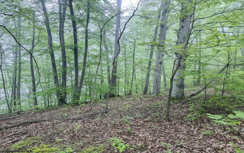 Lot 1 Shortline Highway, Porters Falls, West Virginia 26162, ,Lots/land,For Sale,Shortline,10164035