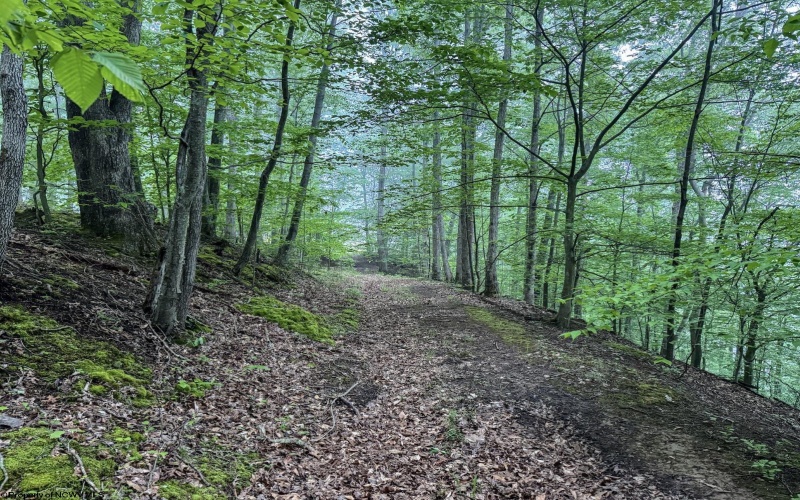 Lot 1 Shortline Highway, Porters Falls, West Virginia 26162, ,Lots/land,For Sale,Shortline,10164035