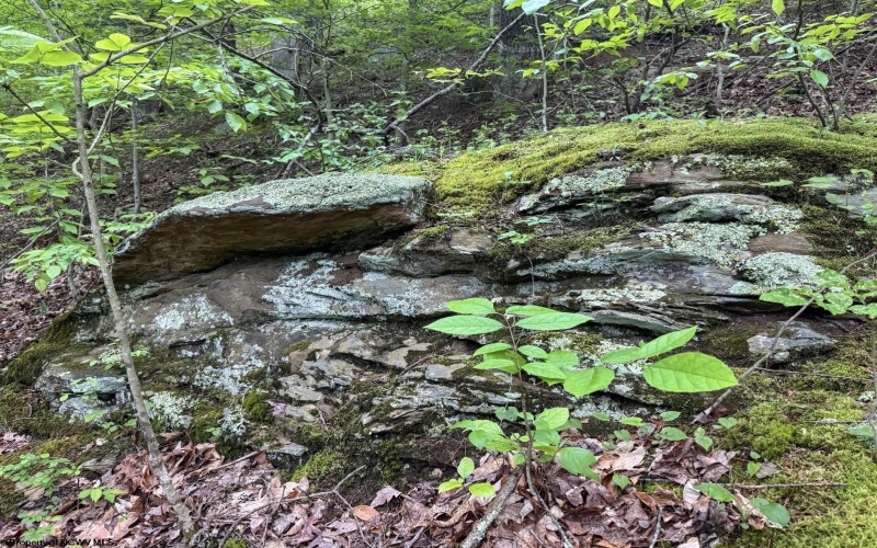 Lot 1 Shortline Highway, Porters Falls, West Virginia 26162, ,Lots/land,For Sale,Shortline,10164035