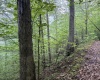 Lot 1 Shortline Highway, Porters Falls, West Virginia 26162, ,Lots/land,For Sale,Shortline,10164035