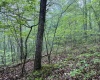 Lot 1 Shortline Highway, Porters Falls, West Virginia 26162, ,Lots/land,For Sale,Shortline,10164035