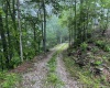 Lot 1 Shortline Highway, Porters Falls, West Virginia 26162, ,Lots/land,For Sale,Shortline,10164035