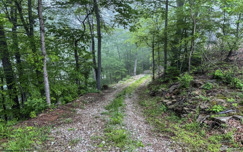 Lot 1 Shortline Highway, Porters Falls, West Virginia 26162, ,Lots/land,For Sale,Shortline,10164035