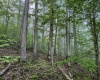 Lot 1 Shortline Highway, Porters Falls, West Virginia 26162, ,Lots/land,For Sale,Shortline,10164035