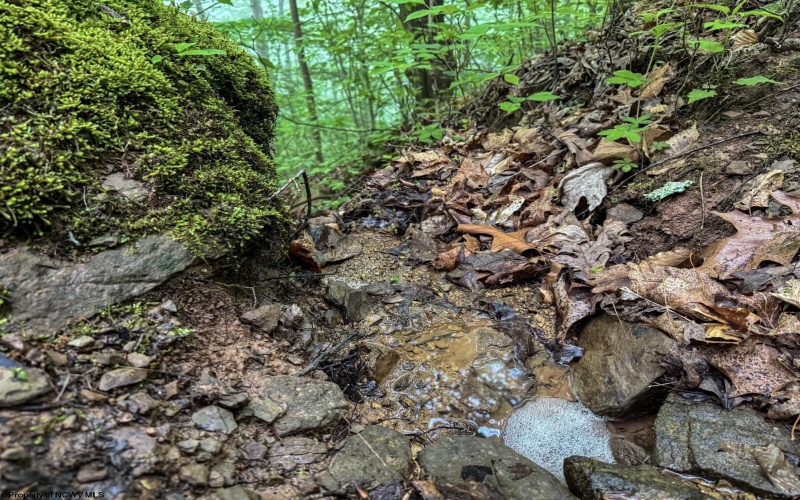 Lot 1 Shortline Highway, Porters Falls, West Virginia 26162, ,Lots/land,For Sale,Shortline,10164035