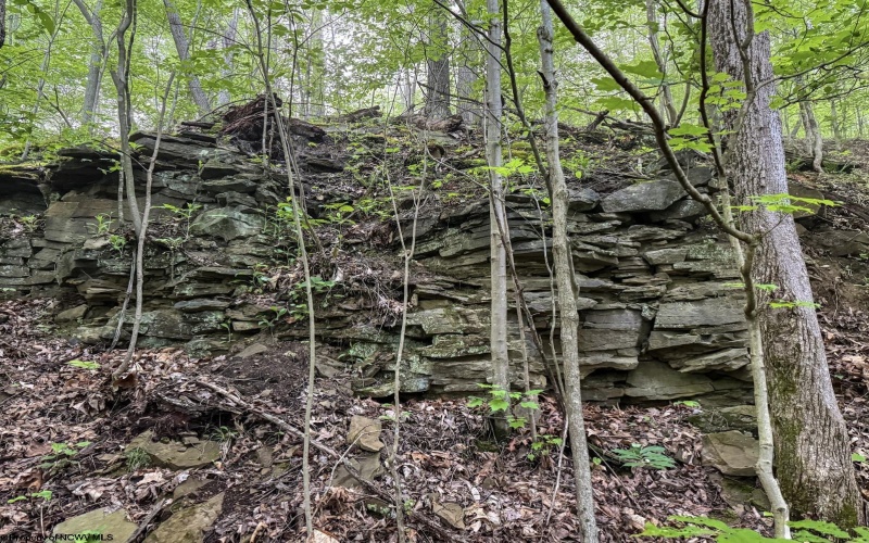 Lot 1 Shortline Highway, Porters Falls, West Virginia 26162, ,Lots/land,For Sale,Shortline,10164035