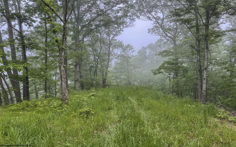 Lot 1 Shortline Highway, Porters Falls, West Virginia 26162, ,Lots/land,For Sale,Shortline,10164035