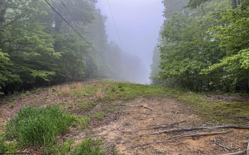 Lot 1 Shortline Highway, Porters Falls, West Virginia 26162, ,Lots/land,For Sale,Shortline,10164035