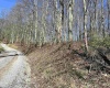 0 Herb Hyre Road, French Creek, West Virginia 26218, ,Lots/land,For Sale,Herb Hyre,10164037