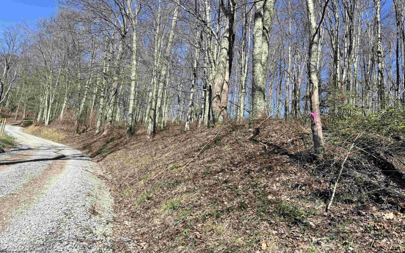 0 Herb Hyre Road, French Creek, West Virginia 26218, ,Lots/land,For Sale,Herb Hyre,10164037