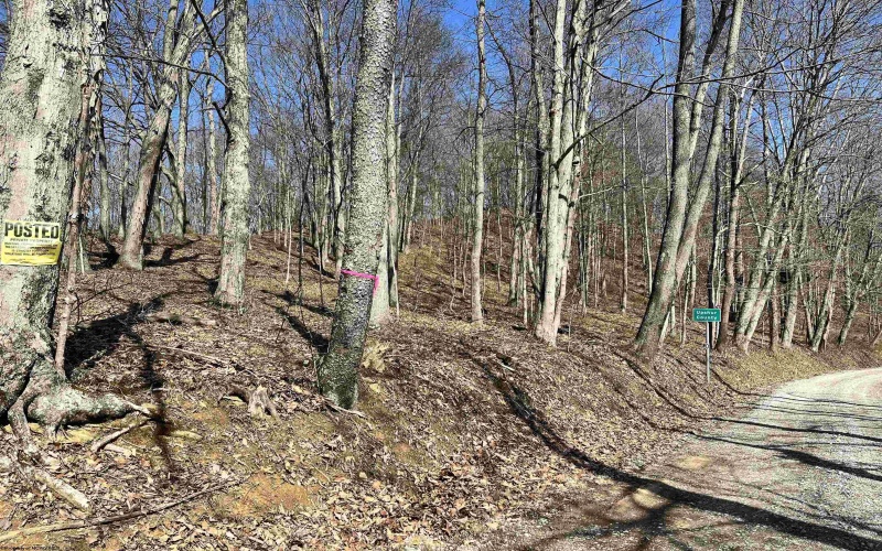 0 Herb Hyre Road, French Creek, West Virginia 26218, ,Lots/land,For Sale,Herb Hyre,10164037