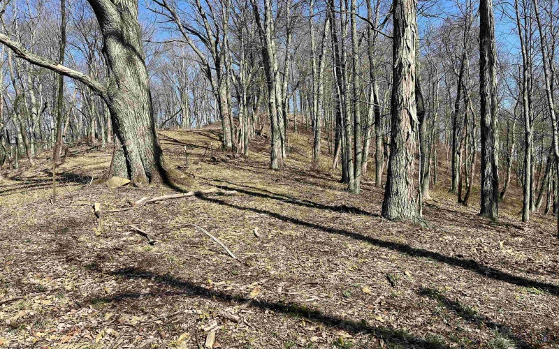 0 Herb Hyre Road, French Creek, West Virginia 26218, ,Lots/land,For Sale,Herb Hyre,10164037