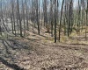 0 Herb Hyre Road, French Creek, West Virginia 26218, ,Lots/land,For Sale,Herb Hyre,10164037