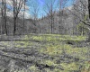 0 Herb Hyre Road, French Creek, West Virginia 26218, ,Lots/land,For Sale,Herb Hyre,10164037