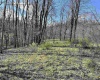 0 Herb Hyre Road, French Creek, West Virginia 26218, ,Lots/land,For Sale,Herb Hyre,10164037