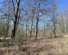 0 Herb Hyre Road, French Creek, West Virginia 26218, ,Lots/land,For Sale,Herb Hyre,10164037