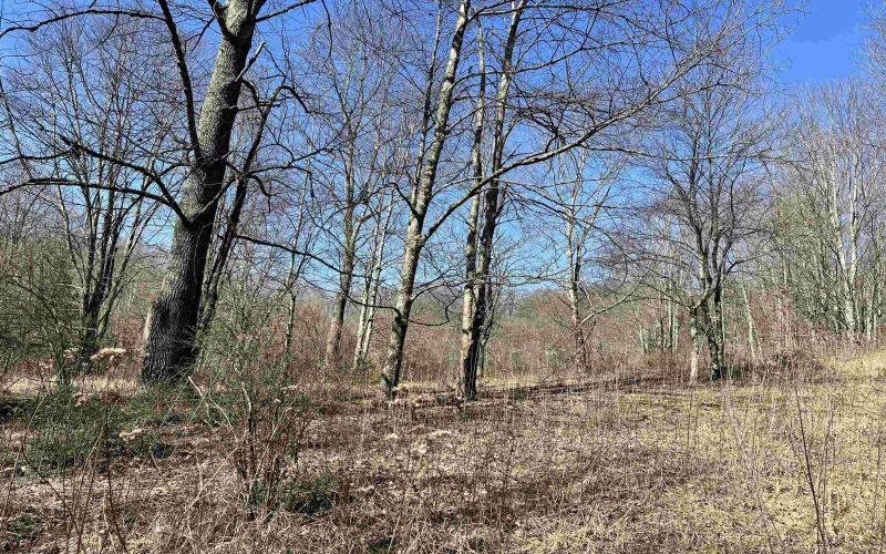 0 Herb Hyre Road, French Creek, West Virginia 26218, ,Lots/land,For Sale,Herb Hyre,10164037