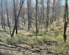 0 Herb Hyre Road, French Creek, West Virginia 26218, ,Lots/land,For Sale,Herb Hyre,10164037