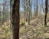 0 Herb Hyre Road, French Creek, West Virginia 26218, ,Lots/land,For Sale,Herb Hyre,10164037