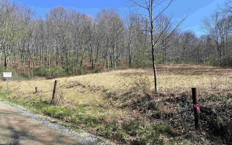 0 Herb Hyre Road, French Creek, West Virginia 26218, ,Lots/land,For Sale,Herb Hyre,10164037