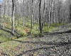 0 Herb Hyre Road, French Creek, West Virginia 26218, ,Lots/land,For Sale,Herb Hyre,10164037