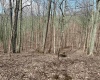 0 Herb Hyre Road, French Creek, West Virginia 26218, ,Lots/land,For Sale,Herb Hyre,10164037